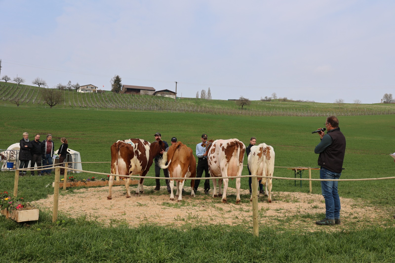 Einblicke in die Viehschau vom 29.03.2025